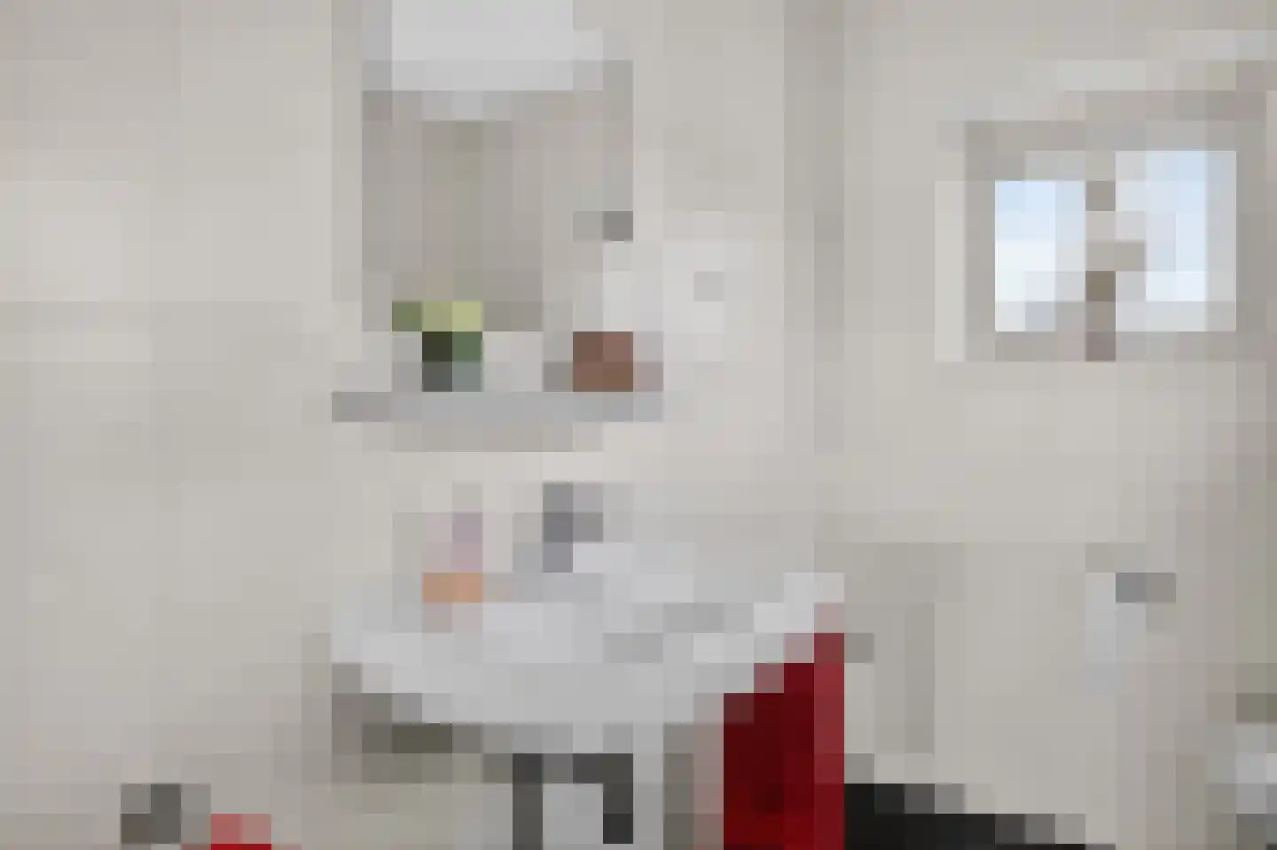 Vierhuysen 36 Diemen thumbnail 38
