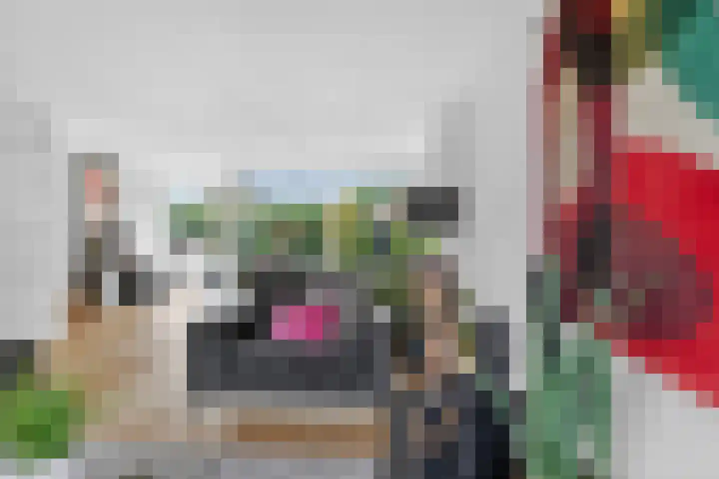 Vierhuysen 36 Diemen thumbnail 8