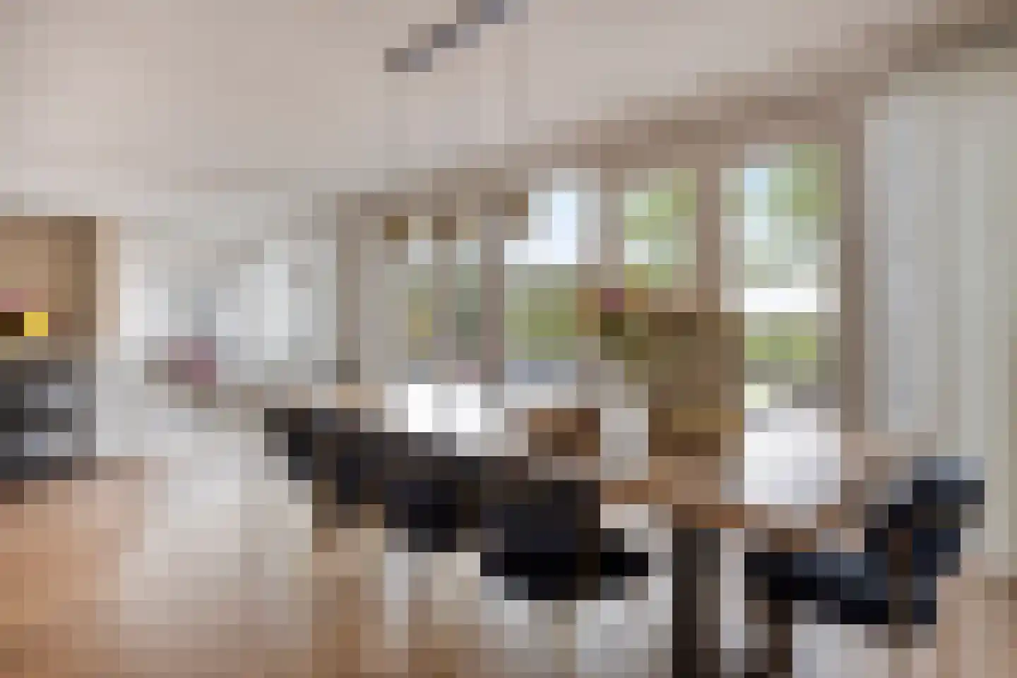 Vierhuysen 6 Akersloot thumbnail 13