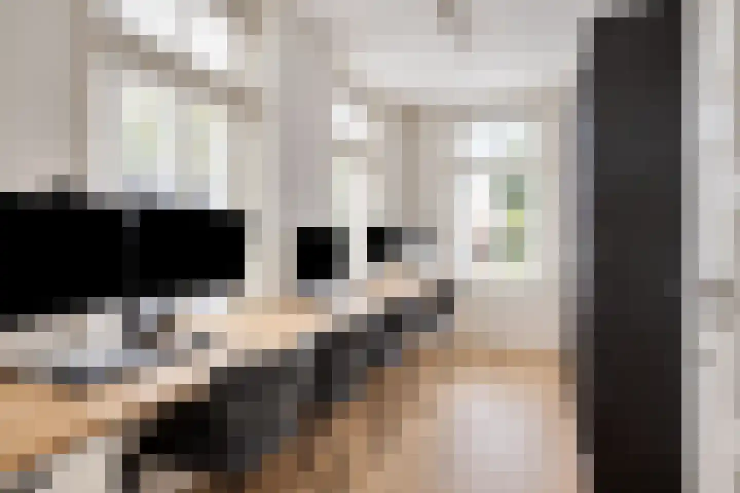 Vierhuysen 6 Akersloot thumbnail 20