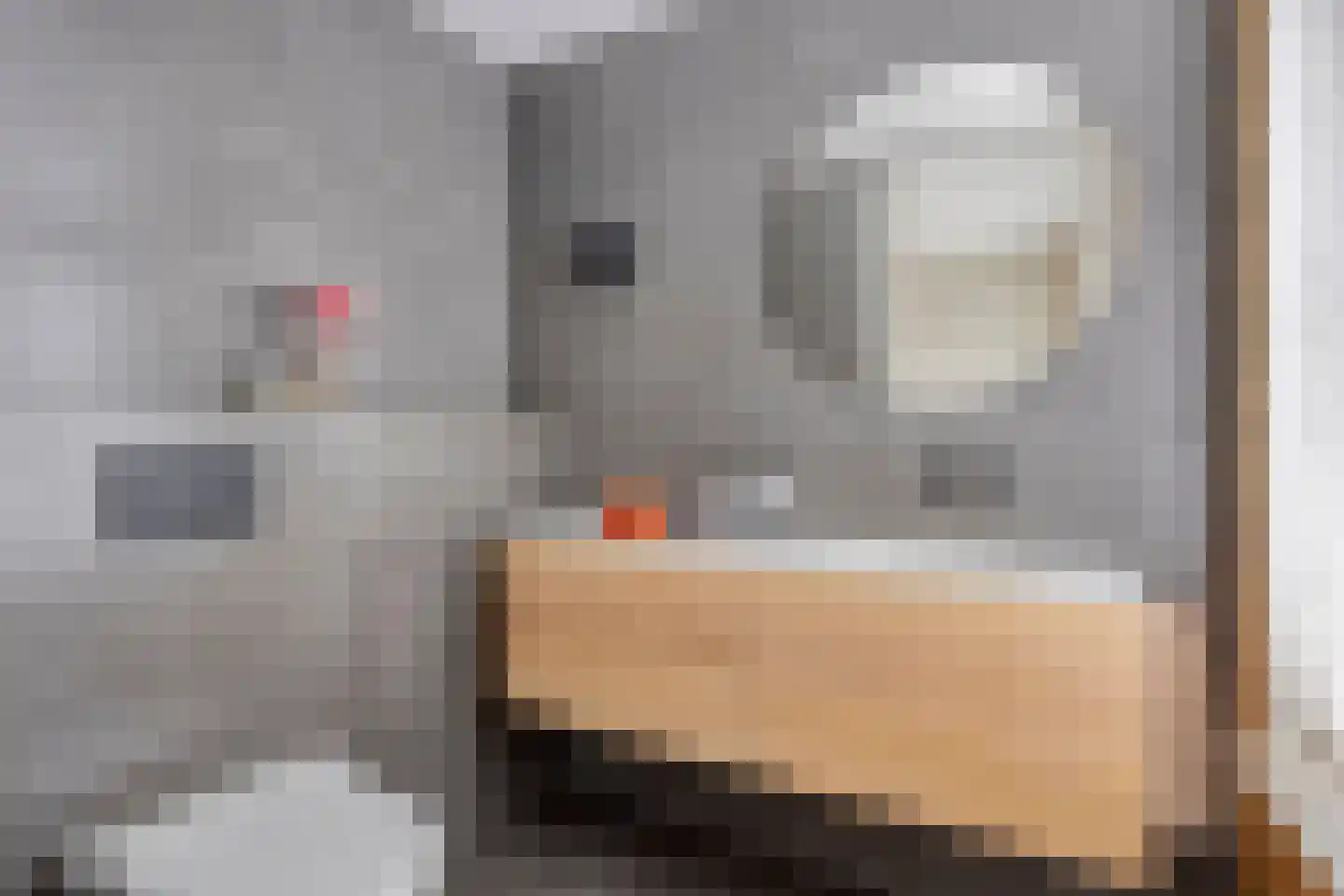 Vierhuysen 6 Akersloot thumbnail 21