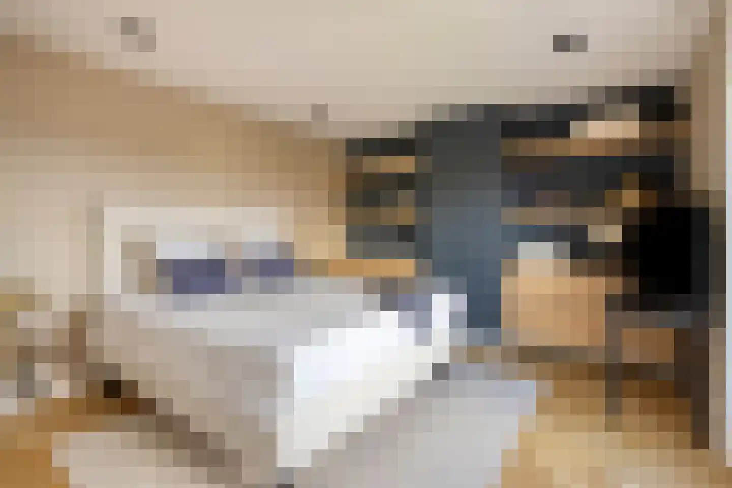 Vierhuysen 6 Akersloot thumbnail 24