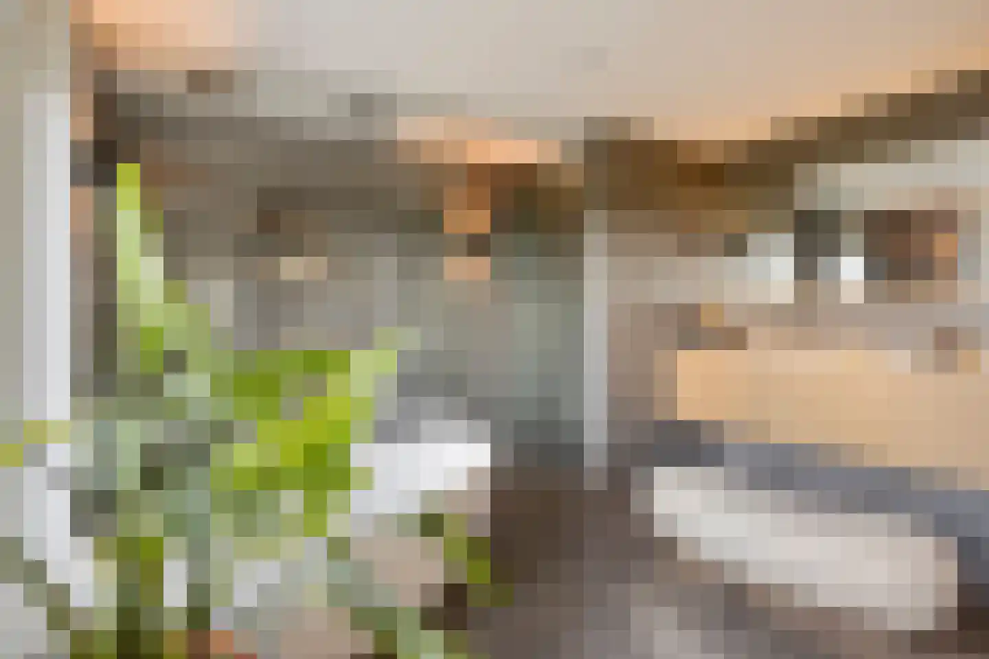 Vierhuysen 6 Akersloot thumbnail 27