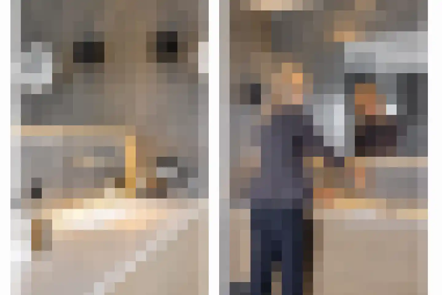 Vierhuysen 6 Akersloot thumbnail 28