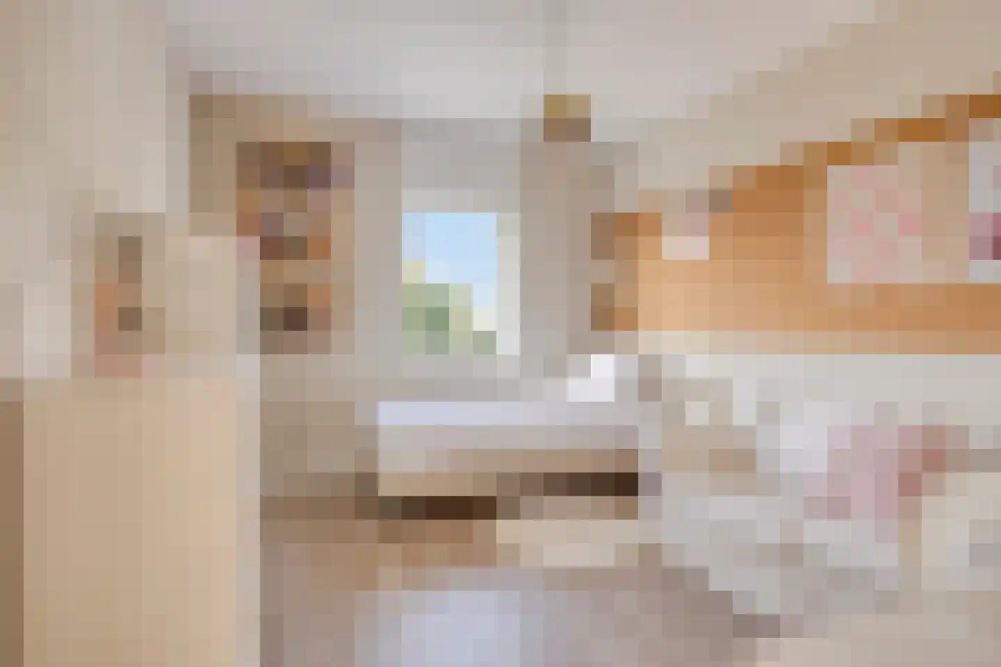 Vierhuysen 6 Akersloot thumbnail 30