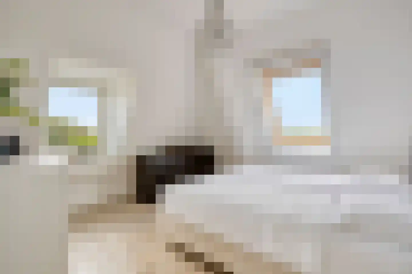 Vierhuysen 6 Akersloot thumbnail 37