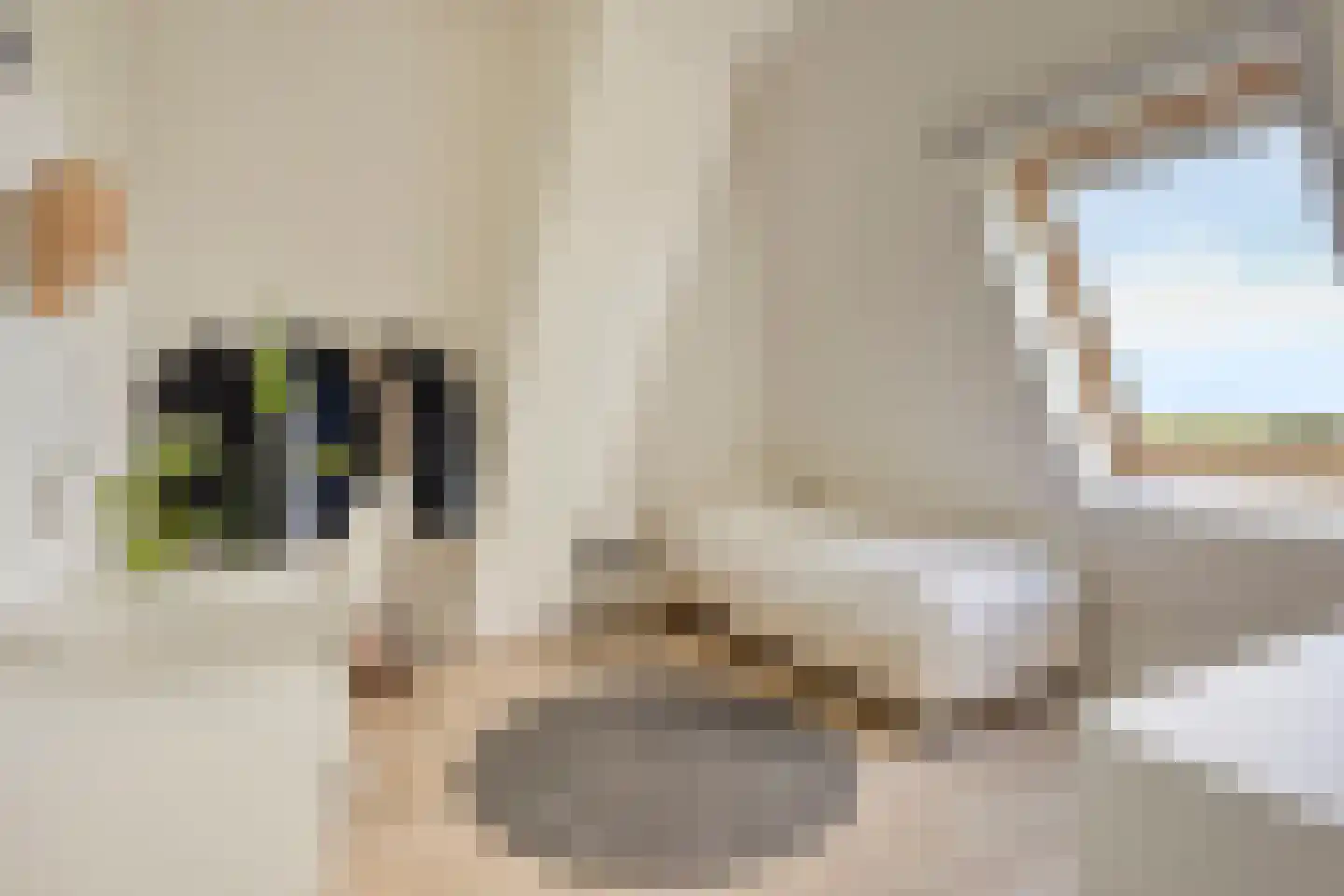 Vierhuysen 6 Akersloot thumbnail 38