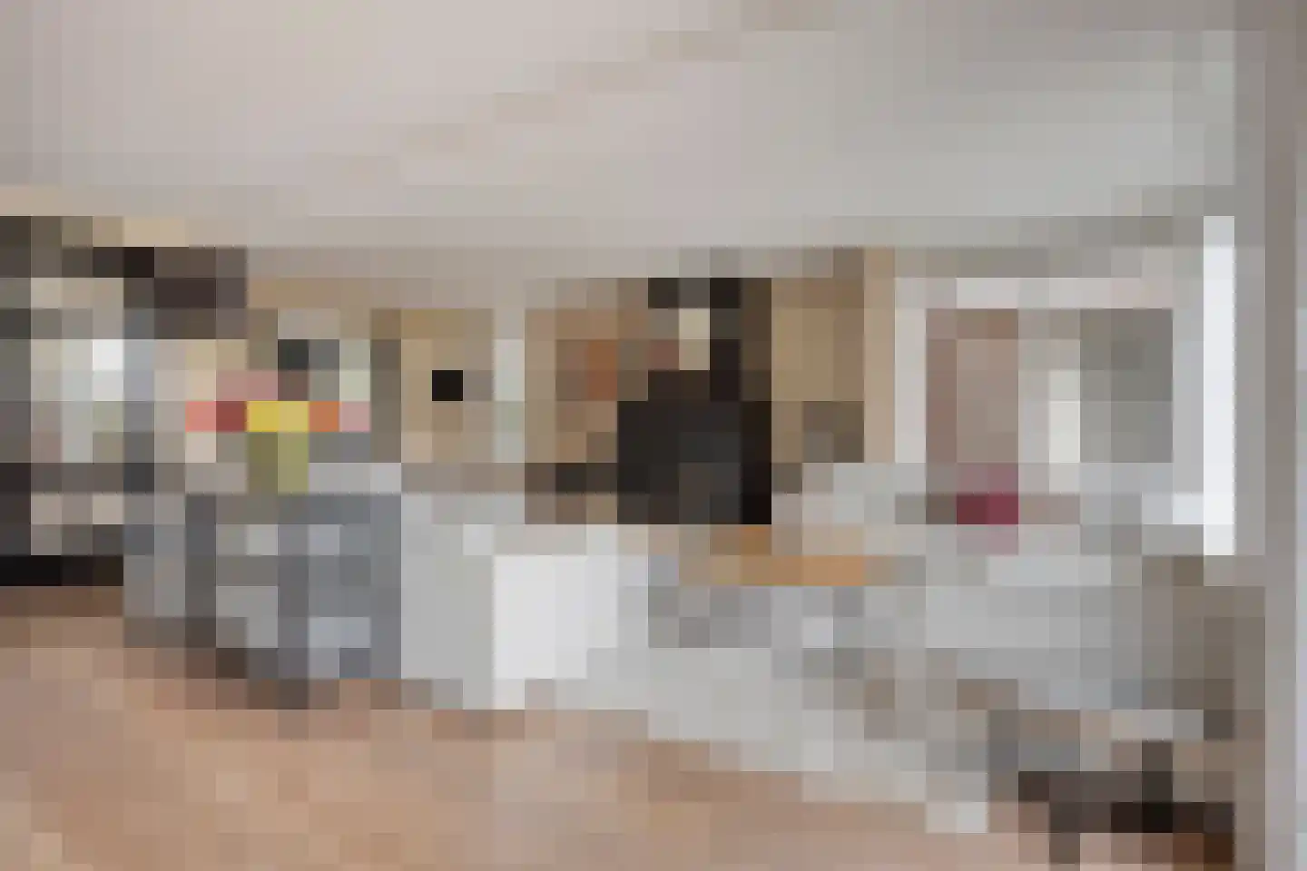 Vierhuysen 6 Akersloot thumbnail 6