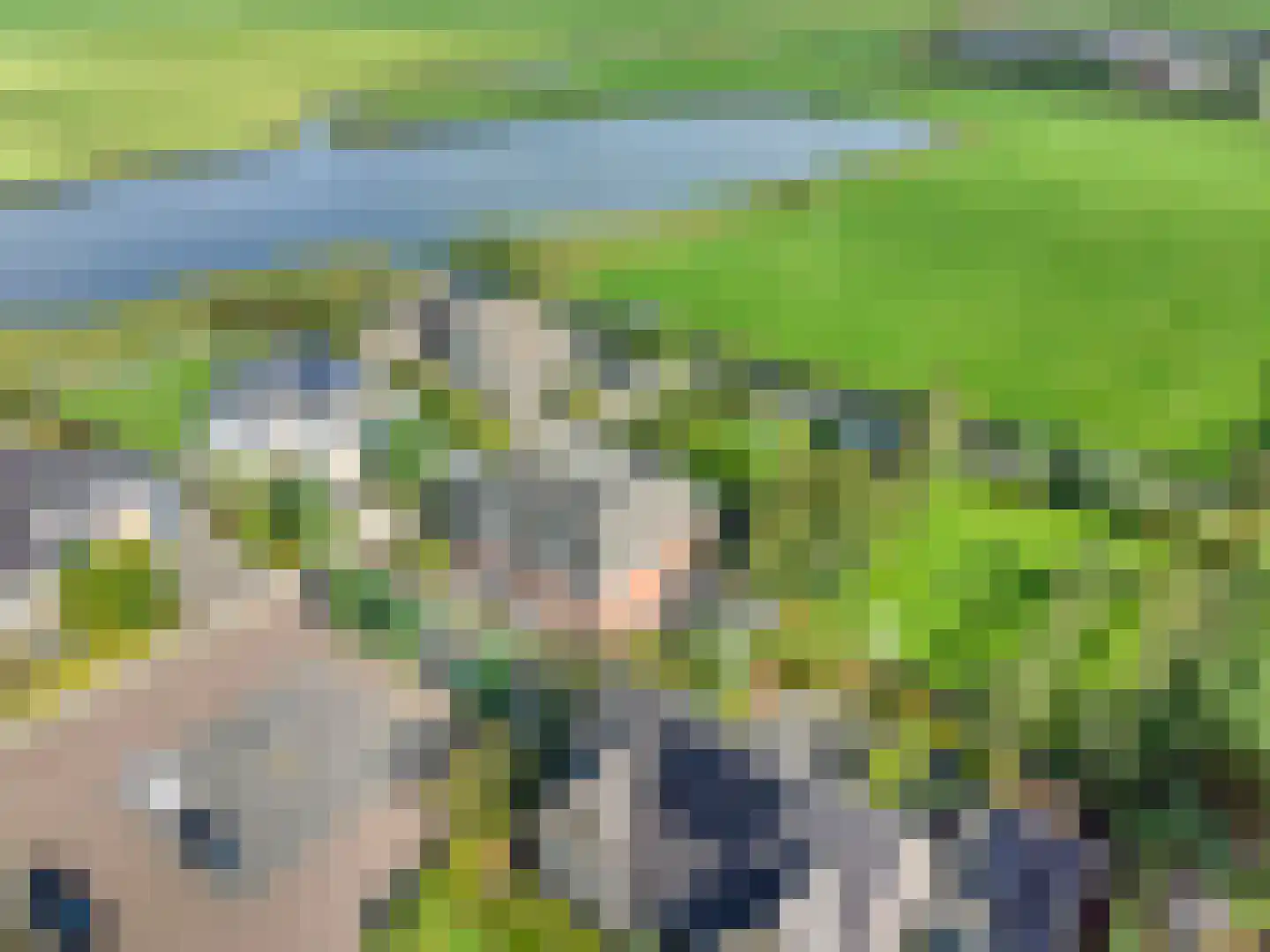 Vierhuysen 6 Akersloot thumbnail 60