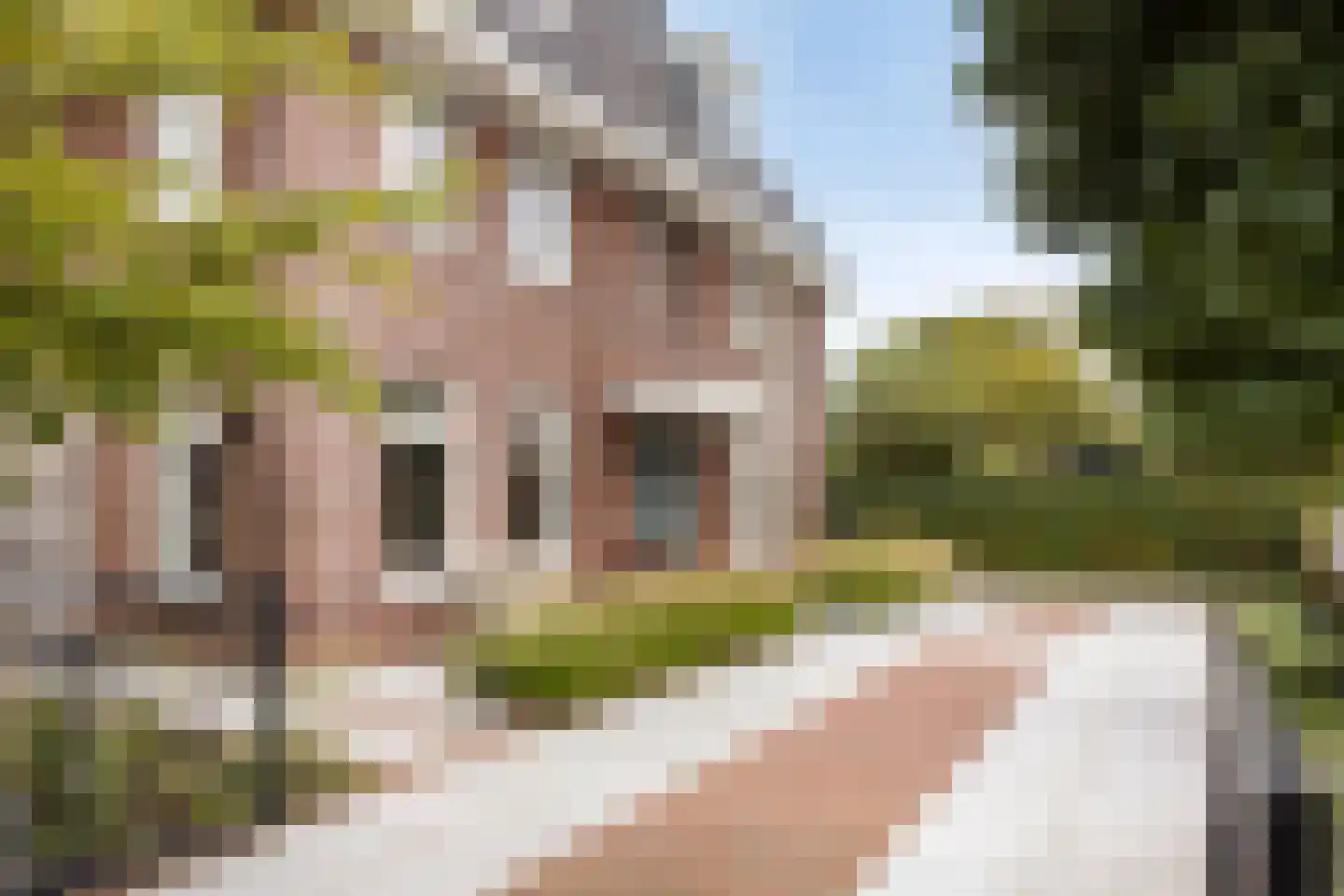 Vierhuysen 6 Akersloot thumbnail 66
