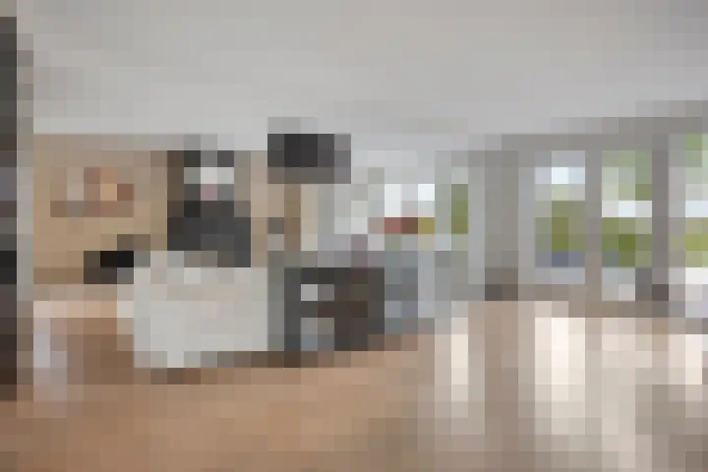 Vierhuysen 6 Akersloot thumbnail 7
