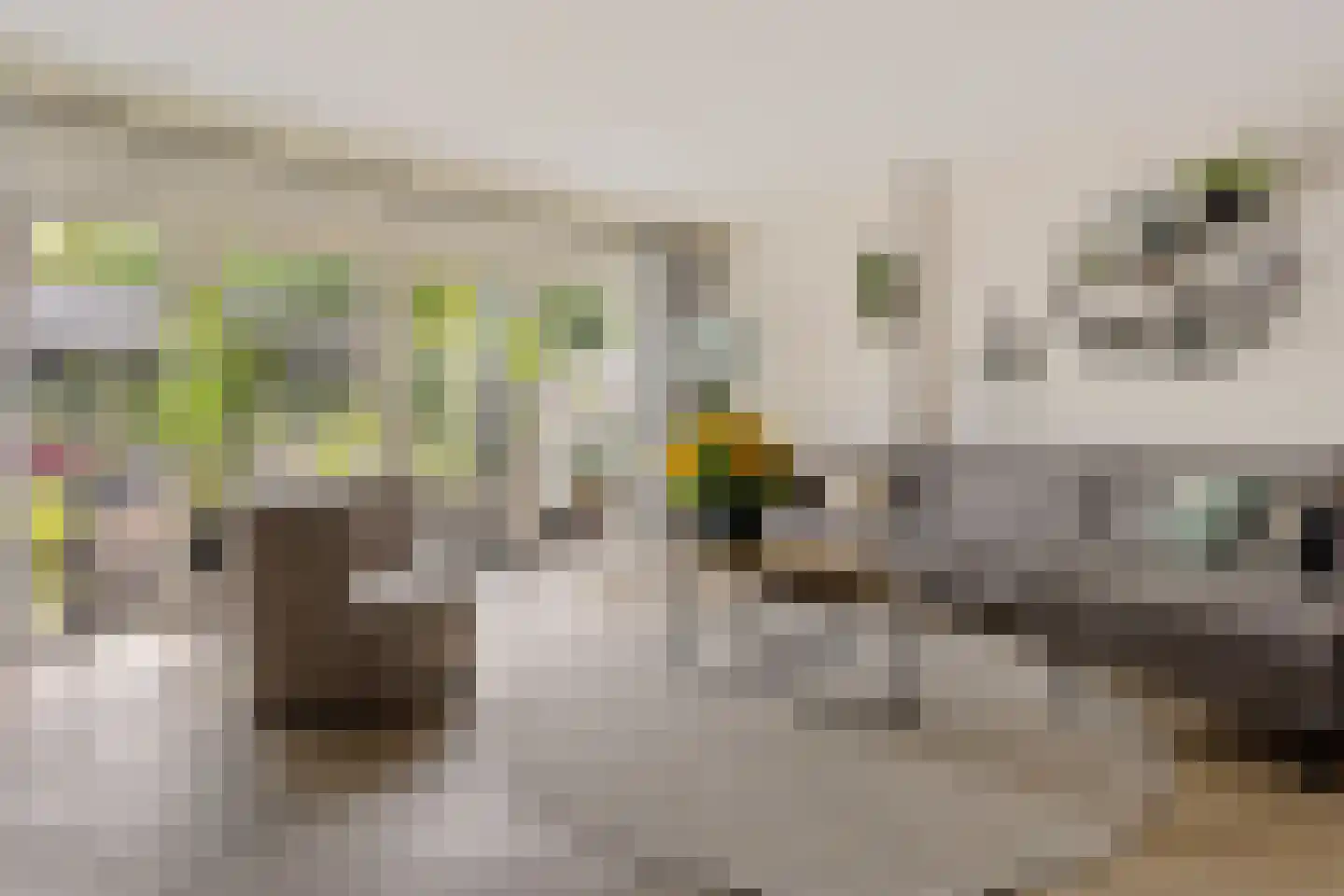 Vierkant 12 Zwaag thumbnail 11