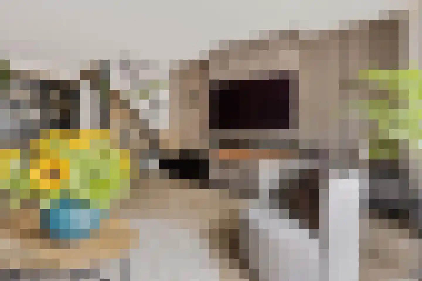 Vierkant 12 Zwaag thumbnail 13
