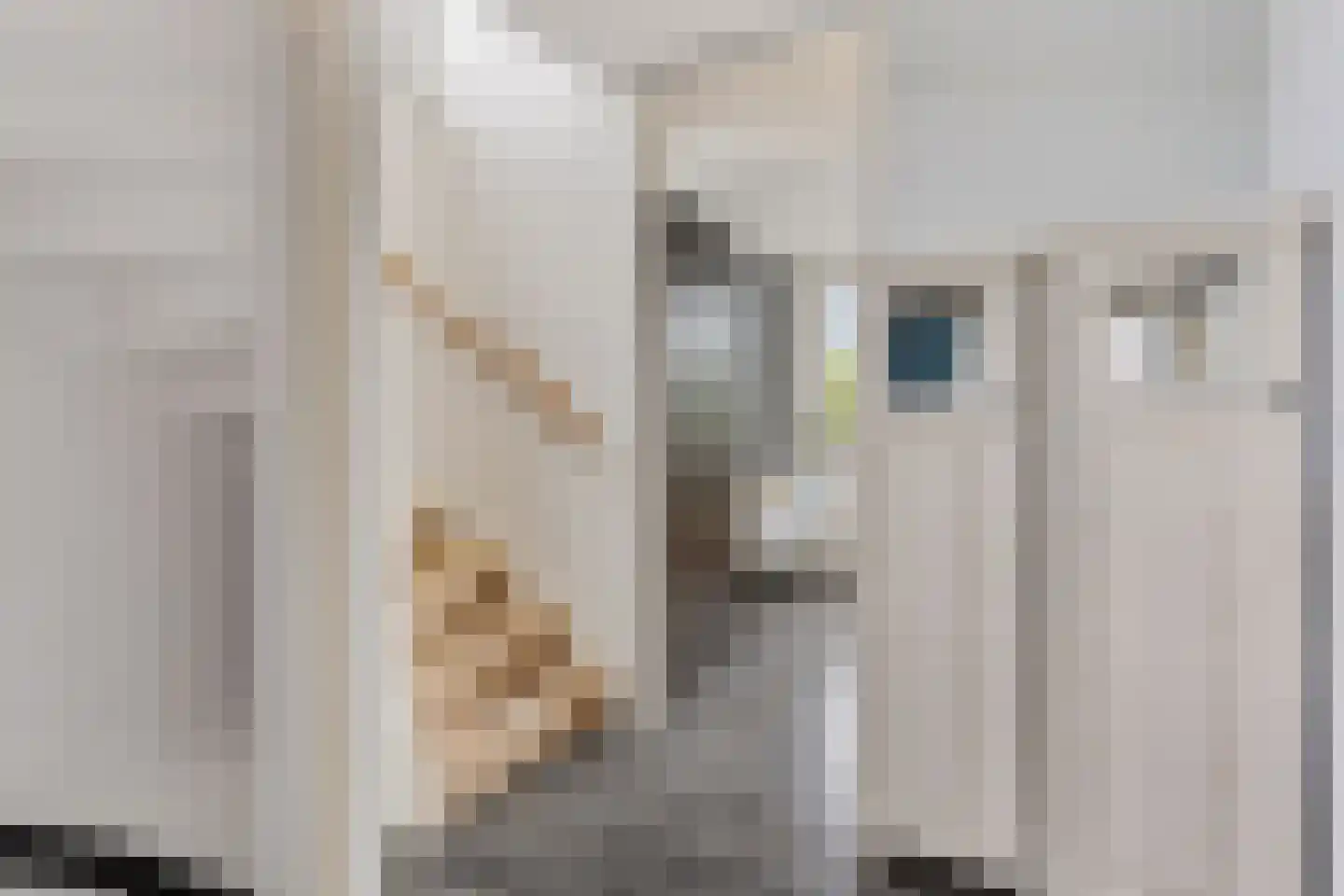 Vierkant 12 Zwaag thumbnail 18