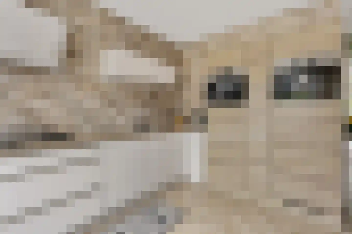 Vierkant 12 Zwaag thumbnail 6