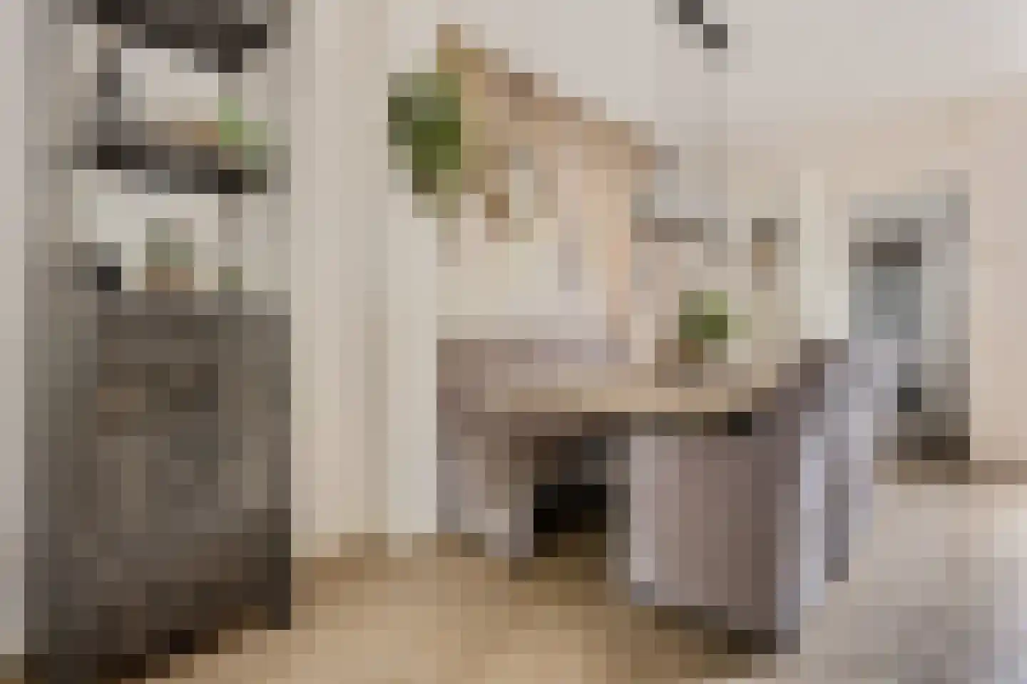 Vierkant 12 Zwaag thumbnail 8