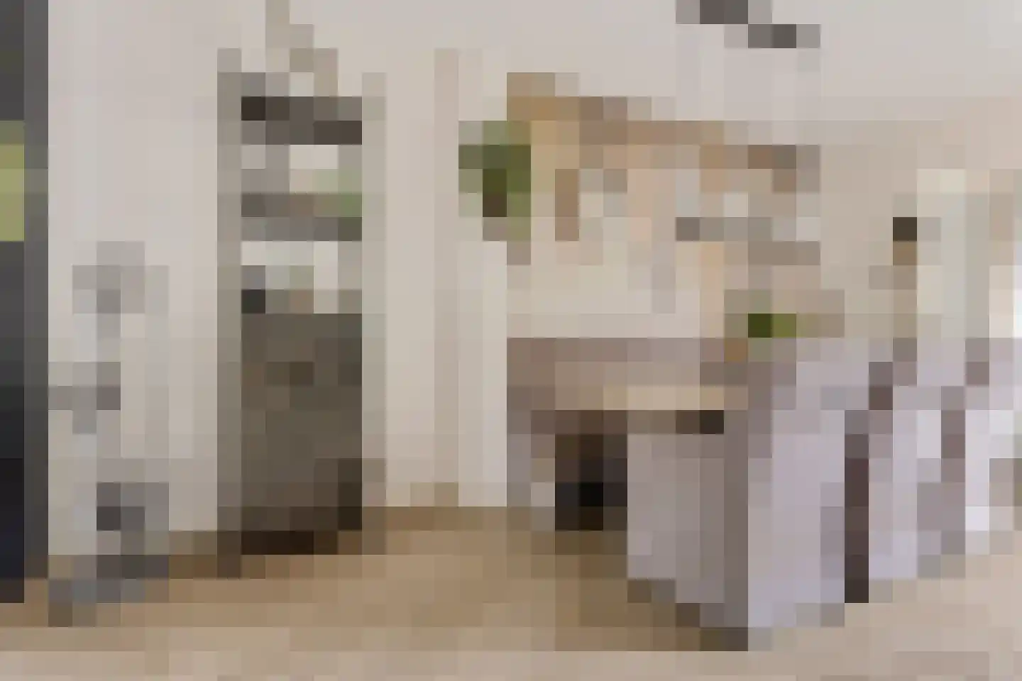 Vierkant 12 Zwaag thumbnail 9