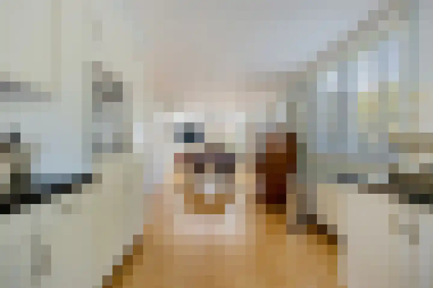 Vierkant 20 Wognum thumbnail 19