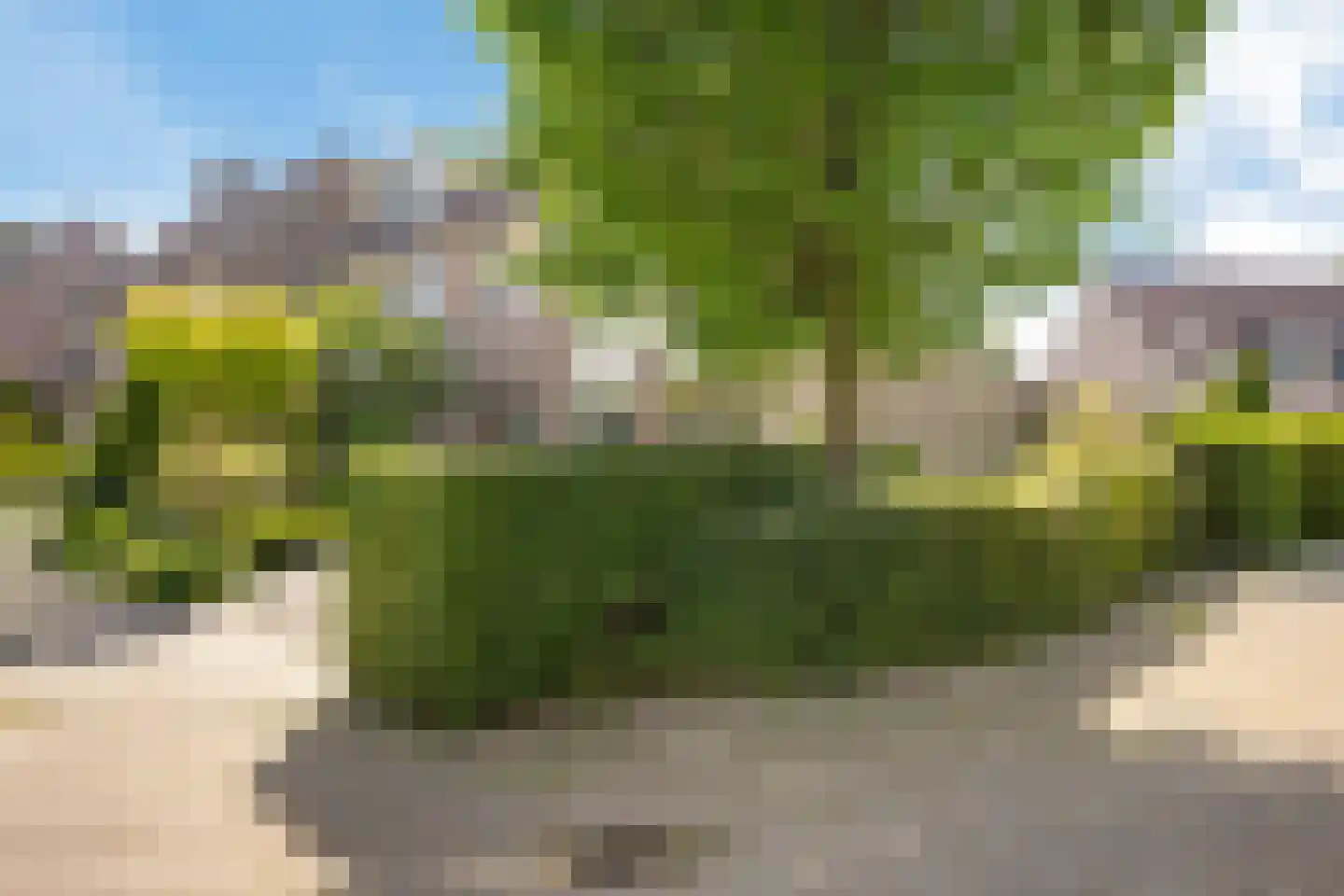 Vierkant 20 Wognum thumbnail 8