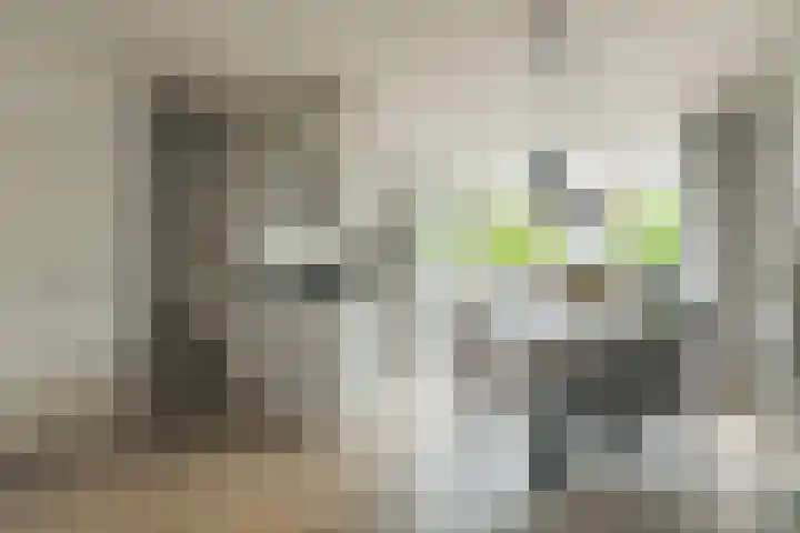 Vierkant 22 Enkhuizen thumbnail 12
