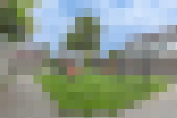 Vierkant 22 Enkhuizen thumbnail 41
