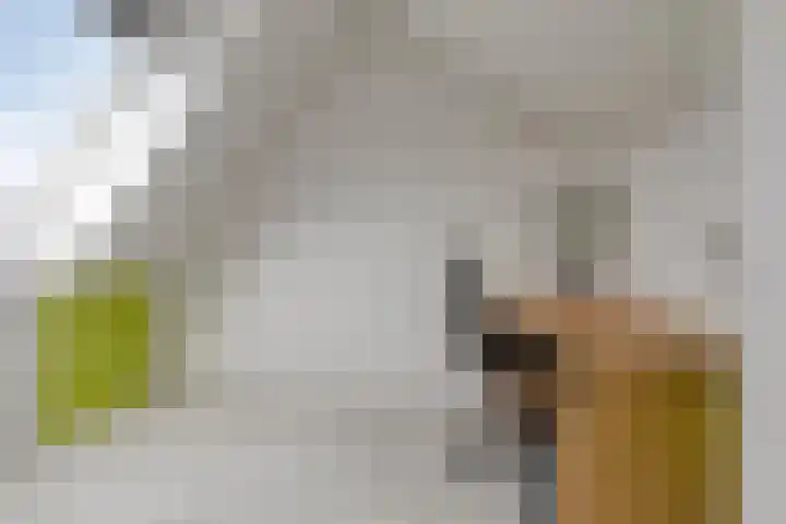 Vierkant 6 Enkhuizen thumbnail 18