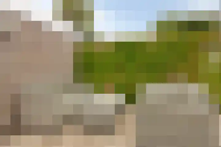 Vierkant 6 Enkhuizen thumbnail 20