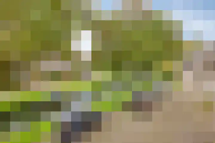 Vierkant 6 Enkhuizen thumbnail 22