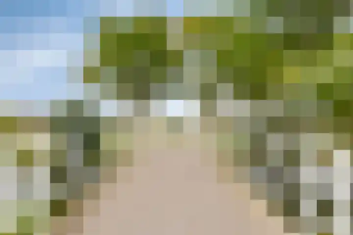 Vierkant 6 Enkhuizen thumbnail 24