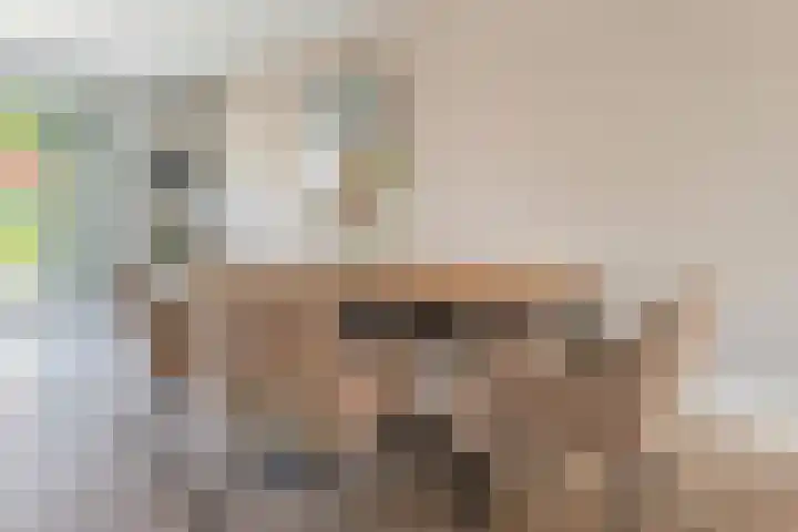 Vierkante Bosje 2 Eemnes thumbnail 16