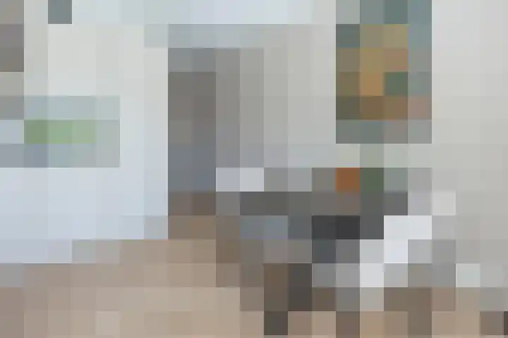 Vierkante Bosje 2 Eemnes thumbnail 18