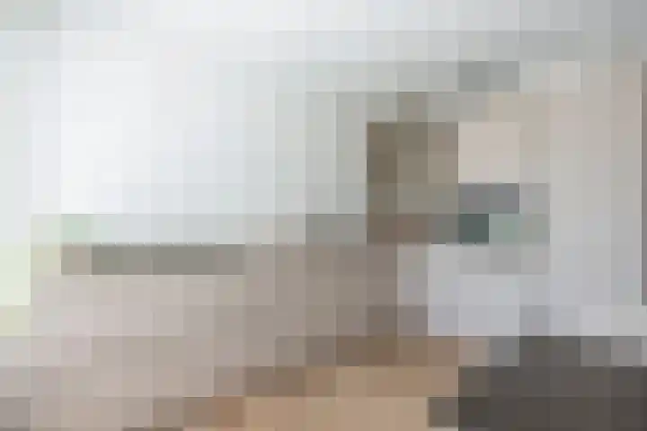 Vierkante Bosje 2 Eemnes thumbnail 19