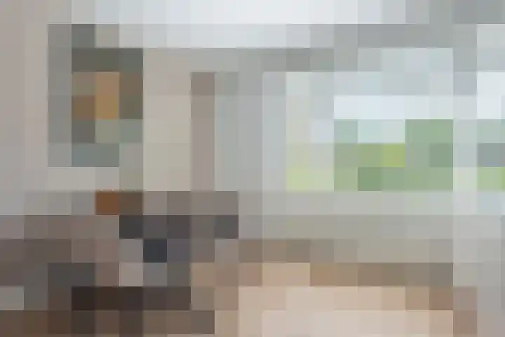 Vierkante Bosje 2 Eemnes thumbnail 23