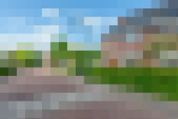 Vierkante Bosje 2 Eemnes thumbnail 4