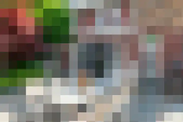 Vierkante Bosje 2 Eemnes thumbnail 42