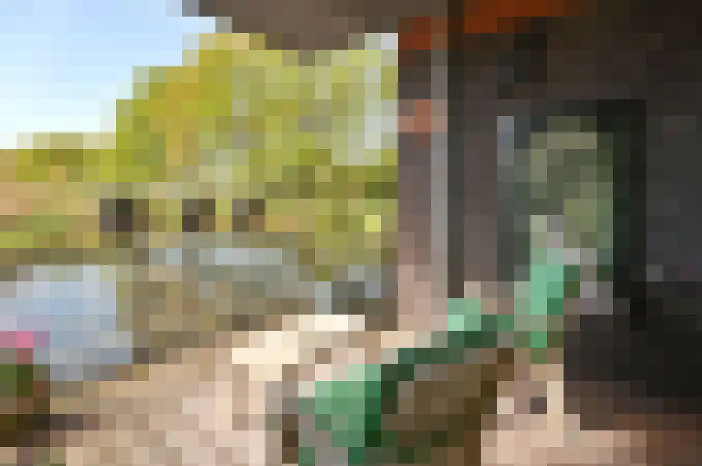 Vierkante Bosje 3 Eemnes thumbnail 14