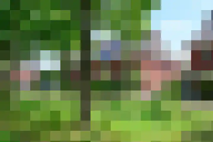 Vierkante Bosje 32 Eemnes thumbnail 18