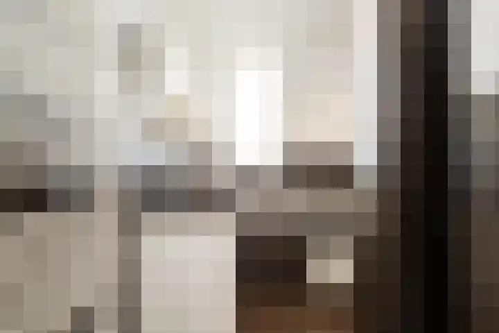 Vierkante Bosje 4 Eemnes thumbnail 21