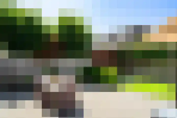 Vierkante Bosje 4 Eemnes thumbnail 30