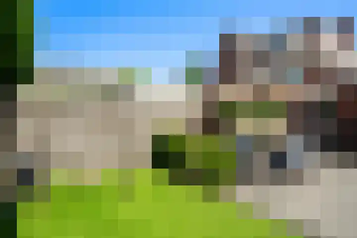 Vierkante Bosje 4 Eemnes thumbnail 33