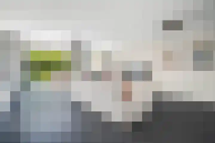 Vierkante Bosje 4 Eemnes thumbnail 7
