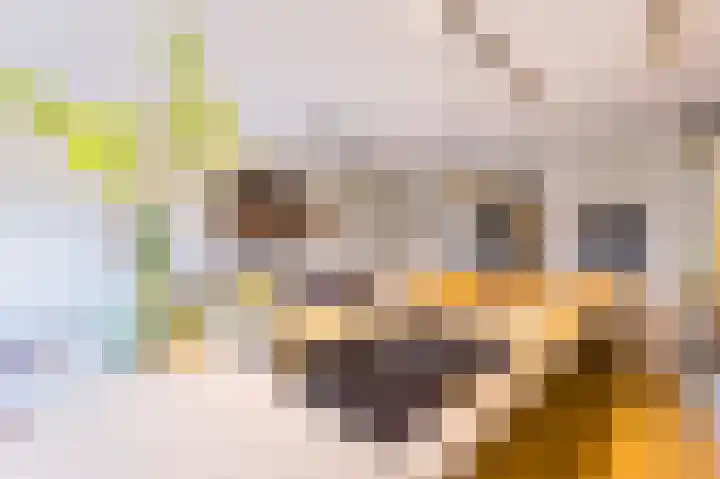 Vierkante Bosje 48 Eemnes thumbnail 12