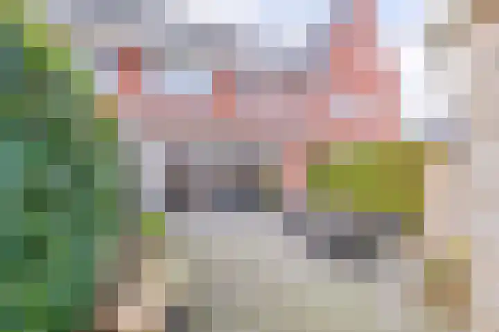 Vierkante Bosje 48 Eemnes foto 3