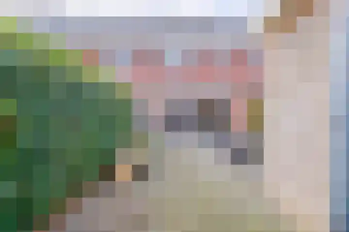 Vierkante Bosje 48 Eemnes thumbnail 39