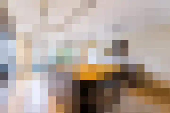 Vierkante Bosje 48 Eemnes thumbnail 6
