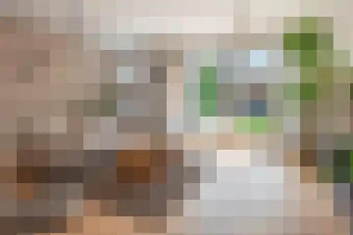 Vierkante Bosje 50 Eemnes thumbnail 13