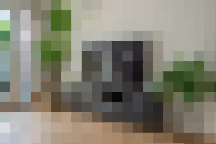 Vierkante Bosje 50 Eemnes thumbnail 14
