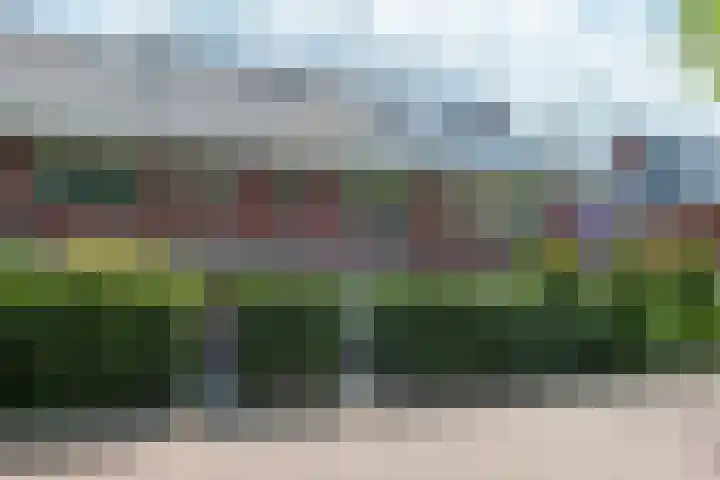 Vierkante Bosje 50 Eemnes foto 2