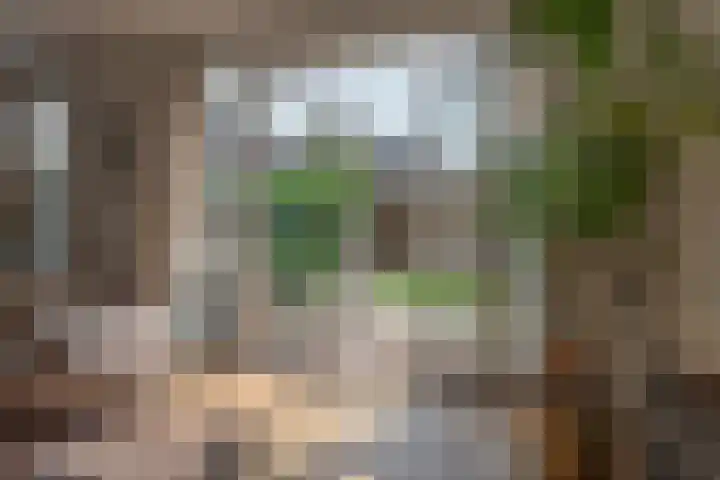Vierkante Bosje 50 Eemnes thumbnail 42