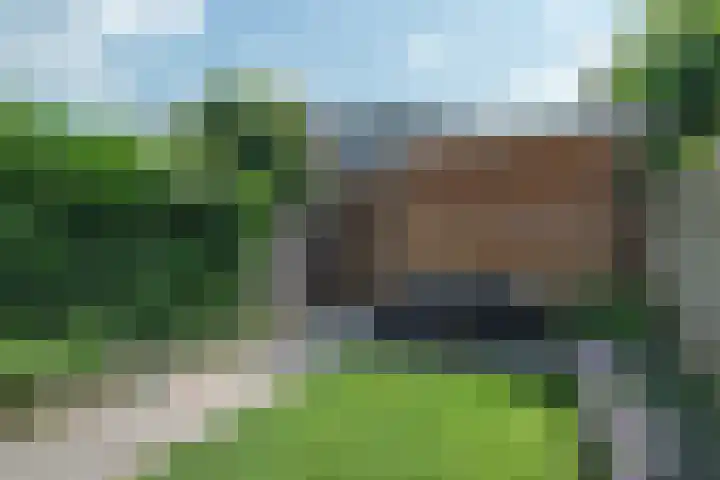 Vierkante Bosje 50 Eemnes thumbnail 46